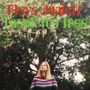 Maya Dunietz: Thank You Tree, LP