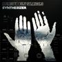 A Place To Bury Strangers: Synthesizer, LP