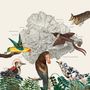 The Birds of Marsville, LP