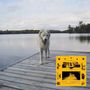 Ein gelbes Albumcover mit "Daisy Jaguar Sun" neben einem weißen Hund auf einem hölzernen Steg am See.