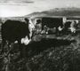 Mark Kozelek: Finally, CD