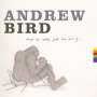 Andrew Bird: Things Are Really Great Here, Sort Of..., CD
