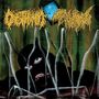 Der obere Bildbereich zeigt zwei unleserliche, filigrane Schriftzüge. Unten ist eine vermummte Gestalt hinter Flaschen zu sehen.