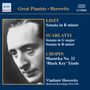 : Vladimir Horowitz,Klavier, CD