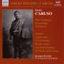 : Enrico Caruso:The Complete Recordings Vol.6, CD
