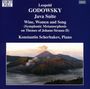 Leopold Godowsky (1870-1938): Klavierwerke Vol.8, CD