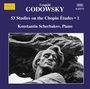 Leopold Godowsky: Klavierwerke Vol.14 (53 Studien über die Etüden von Chopin Vol.1), CD