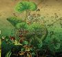 Dave Ball & Jon Savage: Photosynthesis, CD