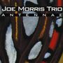 Joe Morris (Guitar, Bass): Antennae, CD