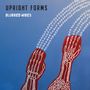 Upright Forms: Blurred Wires, LP