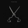 She Past Away: X, CD
