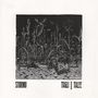 Stormo: Tagli / Talee, CD