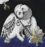 Songs: Ohia: Magnolia Electric Co. (10th-Anniversary-Deluxe-Edition), LP,LP