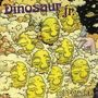 Dinosaur Jr.: I Bet On Sky, LP