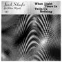 Janek Schaefer: What Light There Is Tells Us Nothing, CD