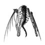 Lotic: Heterocetera, LP