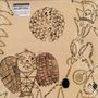 Devendra Banhart: Nino Rojo / Rejoicing In The Hands, LP,LP