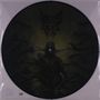 Defeated Sanity: Passages Into Deformity (Picture Disc), LP