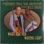 Anthony Paule: What Are You Waiting For, LP