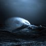 Mark Molnar: EXO, CD