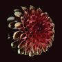 Jessica Moss: Unfolding (180g), LP