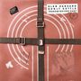 Glen Hansard: Don't Settle (Transmissions East), CD