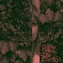 Basia Bulat: The Garden, LP,LP