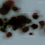 Jan Bang & Arve Henriksen: After the Wildfire, LP