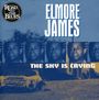 Elmore James: Sky Is Crying, CD