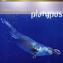 Gerard Presencer: Platypus, SACD