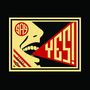 Afternoons: Say Yes, LP