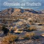 Orquesta Del Desierto: Orquesta Del Desierto (Transparent Orange), LP