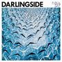 Darlingside: Birds Say, LP,LP