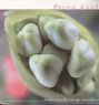 Fiona Apple: Extraordinary Machine, LP
