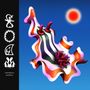 Divino Niño: Foam, LP