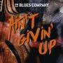 Blues Company: Ain't Givin' Up (180g) (45 RPM), LP,LP