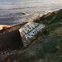 Fidlar: Almost Free, LP