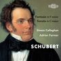 Franz Schubert: Klavierwerke zu vier Händen, CD
