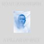 Noah Gundersen: A Pillar of Salt, LP,LP