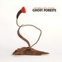 Meg Baird & Mary Lattimore: Ghost Forests, CD