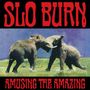 Slo Burn: Amusing The Amazing (Limited Indie Edition), MAX