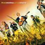 Brass Monkey: Going And Staying, CD