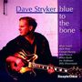 Dave Stryker: Blue To The Bone, CD