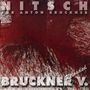 Hermann Nitsch: Für Anton Bruckner, CD,CD