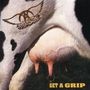 Aerosmith: Get A Grip, CD