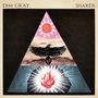 Dim Gray: Shards, LP