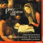 : Concerto Palatino - Puer natus est nobis, CD