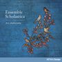 : Ensemble Scholastica - Ars Elaboratio, CD