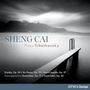 "Sheng Cai Plays Tchaikovsky" mit stimmungsvoller, nebliger Landschaft und einem Steg.