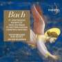 Johann Sebastian Bach: Passionen, Weihnachtsoratorium, h-moll-Messe, Magnificat, CD,CD,CD,CD,CD,CD,CD,CD,CD,CD